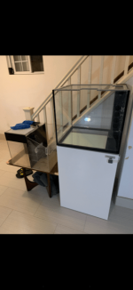 image1 (1).png