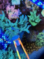 C82C8051-5840-40A0-B358-45286BD466CB.jpeg