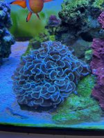 IMG_2157.jpg