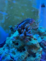IMG_2532.jpg