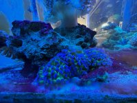 IMG_2538.jpg