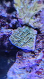 331124838_6338610386172345_3325421237446232736_n.jpg