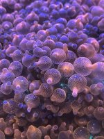 0F486173-E6C1-422A-91CA-5BE93CC94301.jpeg