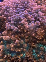 FEF77229-F6C5-4ECF-A48E-374EB62BE4F8.jpeg