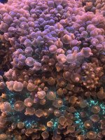 D1163863-C726-4792-8C10-FF2C02AB8B6F.jpeg