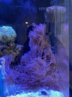 IMG_0176.jpg
