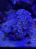 CE48E7CD-101E-43FD-8EEE-D543003724F4.jpeg