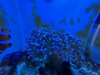 D0390788-83C1-46BF-9D54-8D5D9D2AD28D.jpeg