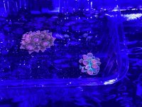 312D0995-5B42-4AD2-866C-38121BAEAA50.jpeg