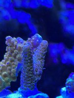 18943809-0EB9-4FBC-BA0F-0EC28A623F50.jpeg