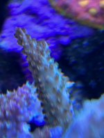 E8A6F360-937E-414B-9AA6-2E74C3FA5F30.jpeg