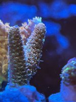 D0CC101C-8509-42C1-984A-FDFC100A7BA1.jpeg