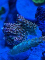 921419C0-22A1-455F-BCBC-6B4F8449B53A.jpeg