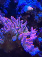 2A7741D9-1BA8-4043-AAE9-3C9A744FFB2A.jpeg