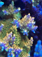 07E16AA7-4D81-45C6-8308-438A47A77D5E.jpeg