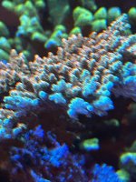 2C11E9F7-9F09-4E28-8758-D718343B68A3.jpeg