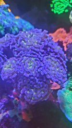 20230307_061851.jpg