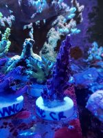 3D5788F4-F6C4-47D4-9338-4F879E5F0747.jpeg