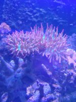 20230314_134818.jpg