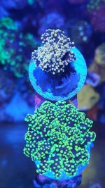 20230330_211957.jpg