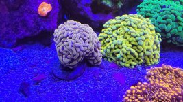 20230408_214523.jpg