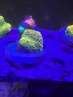 80B26FD5-4F80-4F5D-AD03-1A5D7417563D.jpeg