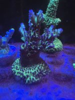 6C055032-D113-42E6-B061-0394D7C69A38.jpeg