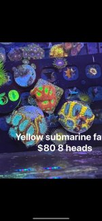 11392F9A-E2D6-48D2-8129-F94D98F31D5D.jpeg