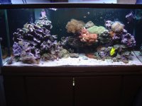FTS for MR.JPG