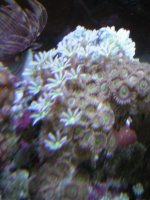 DSCN0845.jpg