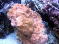 old memory card 010.jpg