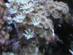 DSCN0857.JPG