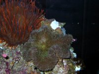 IMG_0066.jpg