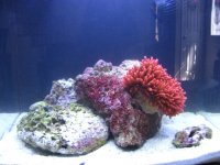 IMG_0365.JPG