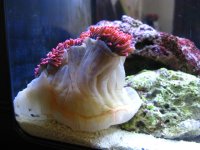 IMG_0369.JPG