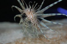 DSC_0027.jpg