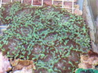 hammer from photo bucket.jpg