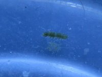 IMG_1463.jpg