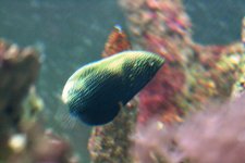 IMG_1181.JPG
