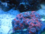 IMG_0844.JPG