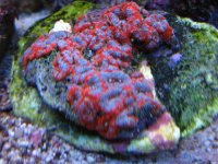 IMG_0847.JPG