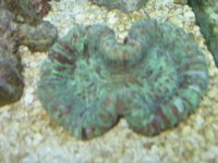 IMG_0696.jpg