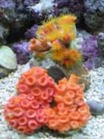 IMG_0698.jpg