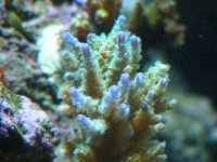 DSCN0408.jpg