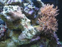 IMG_0632.jpg