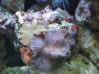 IMG_0633.jpg