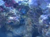 IMG_1102.jpg