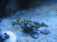 IMG_1103.jpg