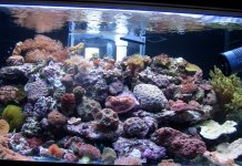 full tank shot 2 .jpg full tank shot 2 .jpg