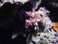 P9280238 [800x600].JPG